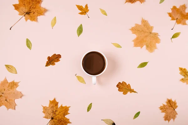 Podzimní Skladba Vzor Sušených Různých Listů Káva Mléko Latte Šálek — Stock fotografie