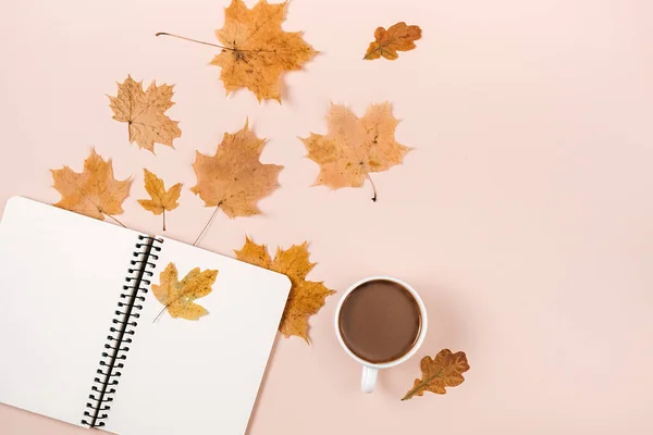 Herfstcompositie Gedroogde Diverse Bladeren Koffiebeker Notebook Roze Studio Achtergrond Voor — Stockfoto