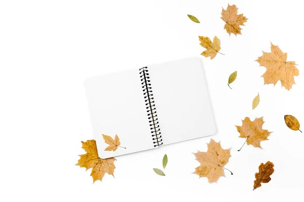 Kreative Komposition Mit Verschiedenen Trockenen Blättern Und Notizbuch Auf Weißem — Stockfoto