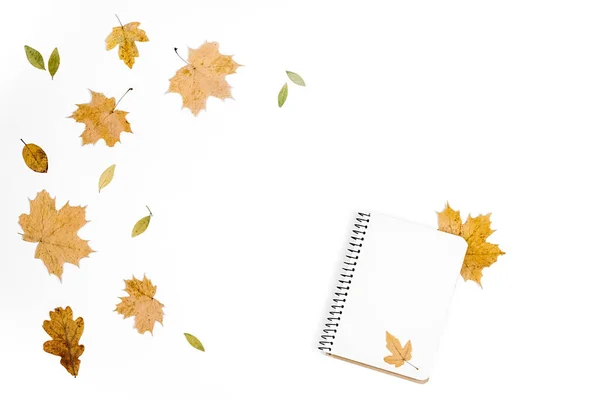 Kreative Herbst Flach Lag Overhead Ansicht Getrockneten Ahornblättern Und Notizbuch — Stockfoto