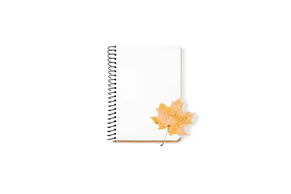Herbst Und Winterzusammensetzung Notizbuch Und Trockenes Herbstblatt Ahorn Auf Weißem — Stockfoto