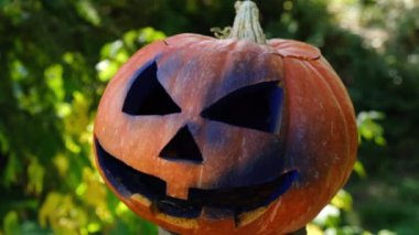 Güneşli bir günde Autumns Ormanı 'nda oyulmuş büyük turuncu balkabağının yatay çekimini kapat. Cadılar Bayramı için geleneksel Fenerler. Sonbahar tatili kavramı