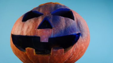 Spooky, Pastel Blue stüdyo arka planında reklam için fotokopi alanı olan büyük turuncu bir balkabağı oymuş. Cadılar Bayramı için geleneksel Fenerler. Sonbahar tatili kavramı