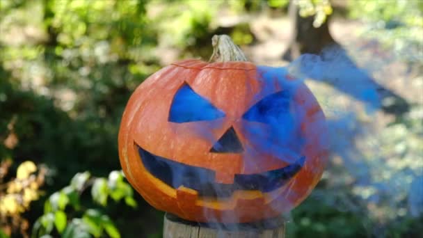 Gros Plan Citrouille Halloween Sculptée Avec Fumée Bleue Sortant Des — Video