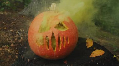 Sonbahar ormanlarındaki deliklerden çıkan sarı dumanlı ürkütücü Cadılar Bayramı balkabağı. Cadılar Bayramı için Jack o Lantern 'in sonbaharını düşün. Yavaş çekim