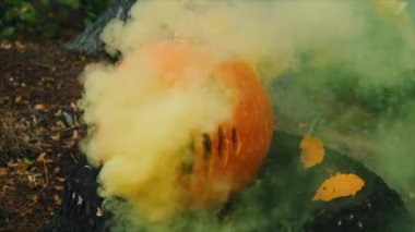 Deliklerden çıkan dumanla, sonbahar ormanlarının ortasında kütüğün üzerinde duran korkunç sarı balkabağı. Geleneksel mutlu bayram kutlaması korku dekorasyonu şeytani sembol