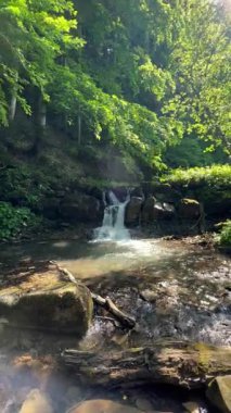Güneşli yaz gününde güzel bir dağ deresi ve büyülü yeşil bir orman. Kristal berrak su. Sakin doğal merak, yeşil turizm konsepti için sessiz bir yer