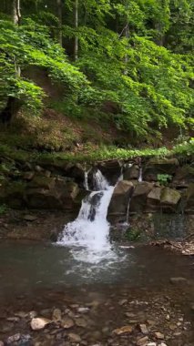 Güneşli yaz gününde güzel küçük bir dağ şelalesi ve büyülü yeşil bir orman. Kristal berrak su. Sakin doğal merak, yeşil turizm konsepti için sessiz bir yer