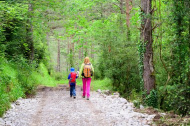 Kadın ve oğul dağdaki ormanda bir patika boyunca yürüyorlar.