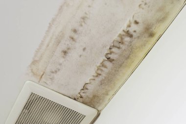 Aşırı neme kalıp ve peeling boya duvar, yağmur suyu sızıntıları veya su sızıntıları gibi neden olabilir .
