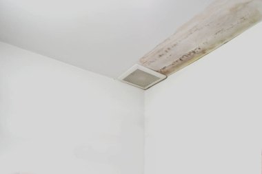 Aşırı neme kalıp ve peeling boya duvar, yağmur suyu sızıntıları veya su sızıntıları gibi neden olabilir.