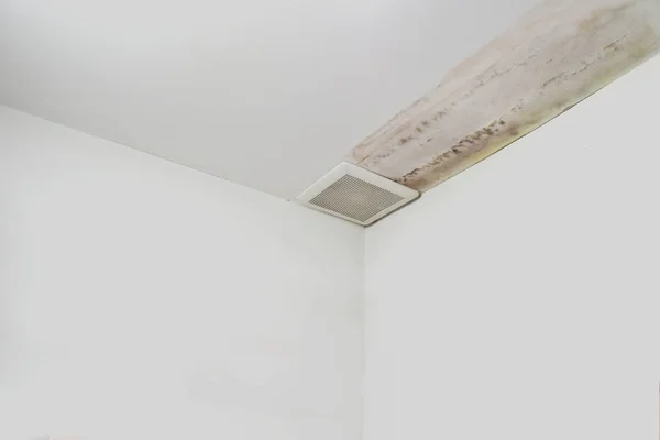 Aşırı neme kalıp ve peeling boya duvar, yağmur suyu sızıntıları veya su sızıntıları gibi neden olabilir.