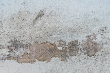 Su sızıntıları zarar, soyulması boya tavan yağmur ve küflü .