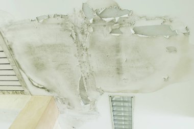 Yağmur su sızıntıları hasar, fayans ve alçı yönetim kurulu neden tavan .