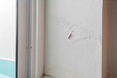 Aşırı neme kalıp ve peeling boya duvar yağmur suyu sızıntıları veya su sızıntıları gibi neden olabilir.