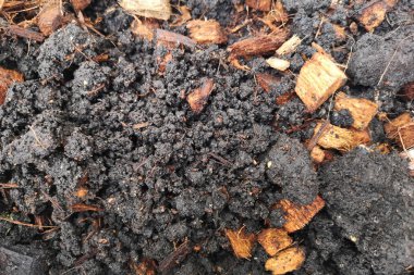 Hindistan cevizi kabuğu doğurganlık toprak karışımı mineraller yüksektir.