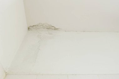Yağmur su sızıntıları hasar, fayans ve alçı yönetim kurulu neden tavan.