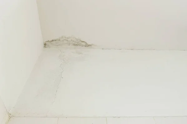 Yağmur su sızıntıları hasar, fayans ve alçı yönetim kurulu neden tavan.