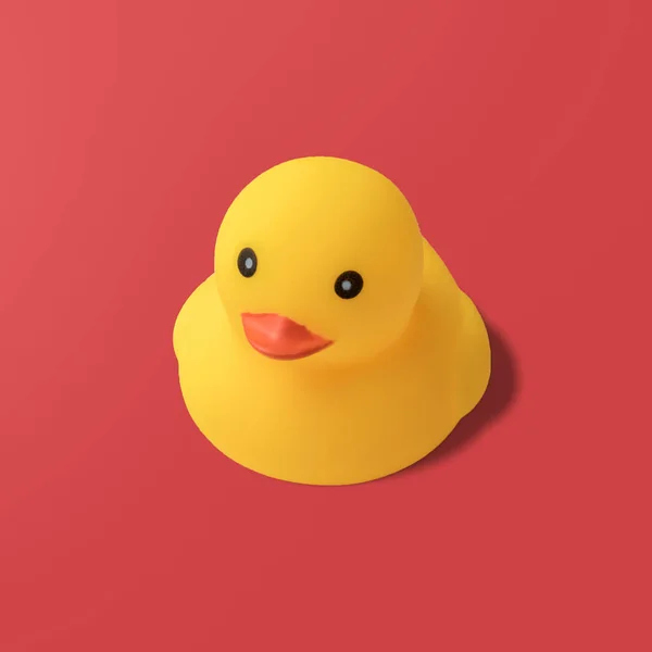 Yellow rubber duck on red background Modern style. creative photography.