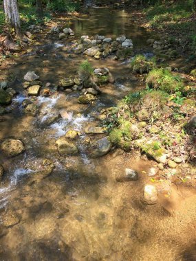 Temiz su doğada küçük akarsu.