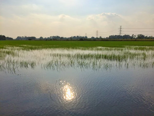 Deixe Água Entrar Campo Para Preparar — Fotografia de Stock