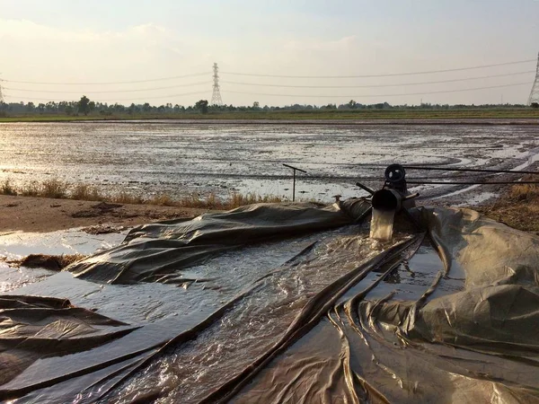 Bombeamento Água Para Preparar Área Arroz — Fotografia de Stock