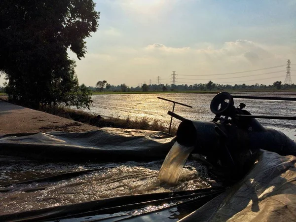 Bombeamento Água Para Preparar Área Arroz — Fotografia de Stock