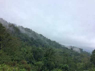 Görünüm manzara orman dağ