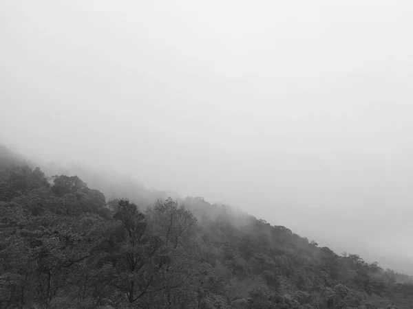 Ver Paisaje Montaña Del Bosque — Foto de Stock