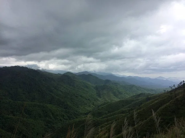 Ver Paisaje Montaña Del Bosque — Foto de Stock