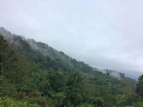 Ver Paisaje Montaña Del Bosque — Foto de Stock