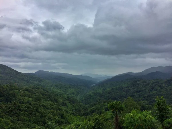 Ver Paisaje Montaña Del Bosque — Foto de Stock