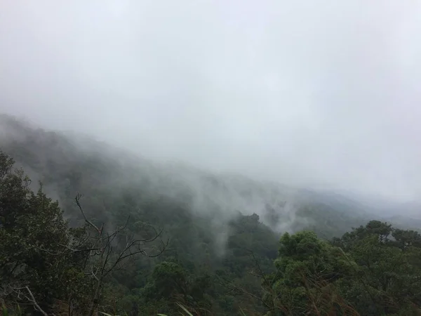 ビューの風景霧森山 — ストック写真