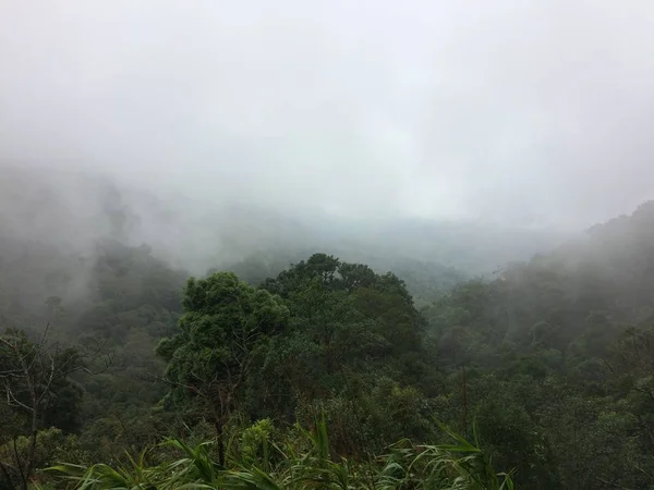View Landscape Fog Forest Mountain Stock Picture