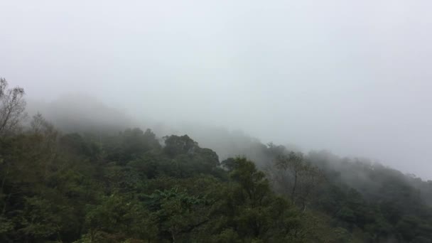 Vue Paysage Brouillard Dans Forêt Montagne — Video