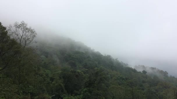 Vue Paysage Brouillard Dans Forêt Montagne — Video