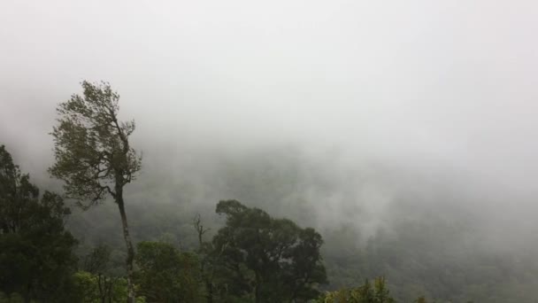 Θέα Τοπίο Ομίχλη Στο Βουνό Δάσος — Αρχείο Βίντεο