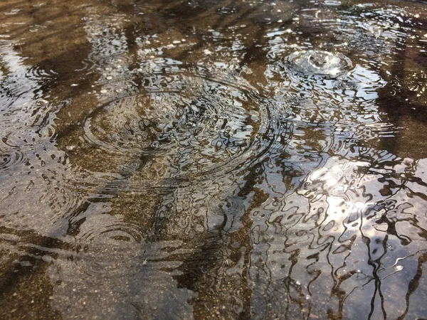 雨季雨落在地上 — 图库照片