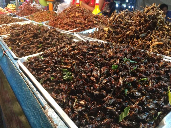 Street Food Market Night Thai Style Food Fried Insects — Stock Photo, Image