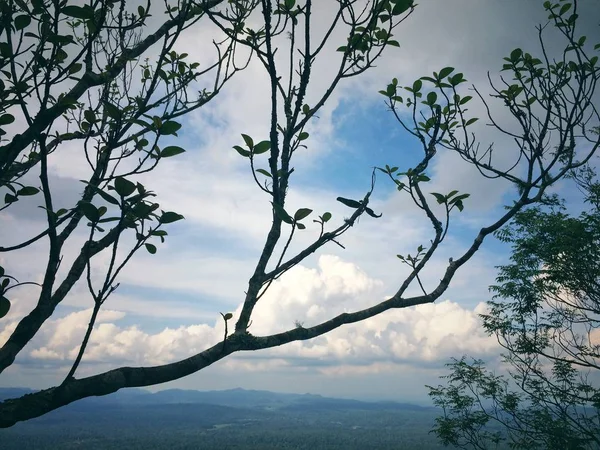 Ver Paisaje Naturaleza Del Día Montaña — Foto de Stock