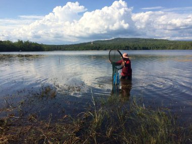 Balıkçılar net kabuklu deniz ürünleri ya da karides için rezervuar üzerinde kepçe.