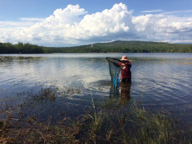 Balıkçılar net kabuklu deniz ürünleri ya da karides için rezervuar üzerinde kepçe.