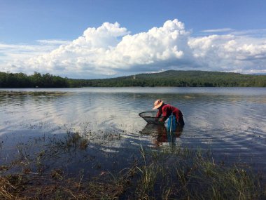 Balıkçılar net kabuklu deniz ürünleri ya da karides için rezervuar üzerinde kepçe.
