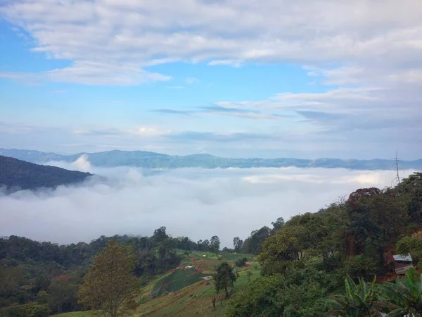 Orman manzaralı dağda sis var.