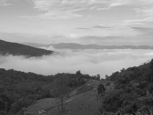 Nebel Wald Berg Der Ansicht Landschaft Natur — Stockfoto