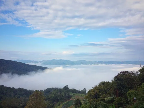 Niebla Bosque Montaña Vista Paisaje Naturaleza — Foto de Stock
