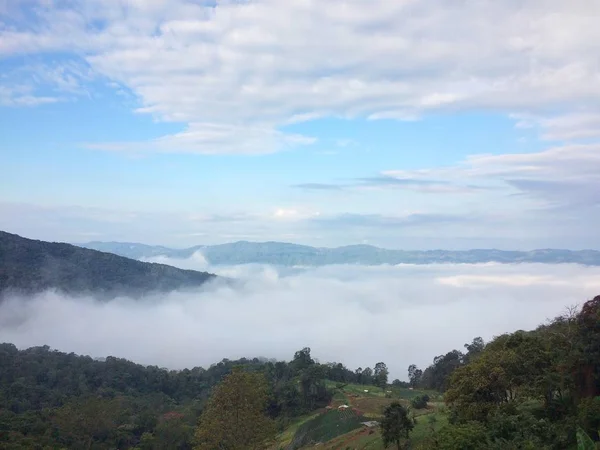 Fog Forest Mountain View Landscape Nature Stock Photo