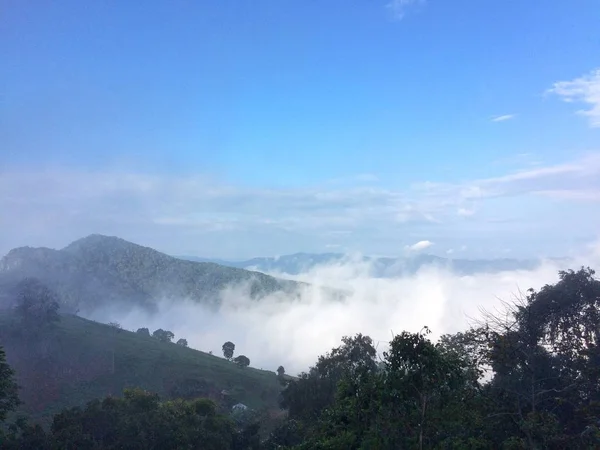Nebel Wald Berg Der Ansicht Landschaft Natur — Stockfoto
