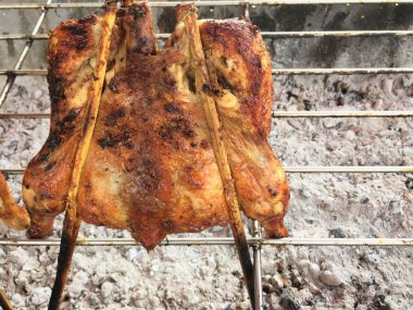 bbq ızgarasında ızgara tavuk.