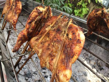 bbq ızgarasında ızgara tavuk.